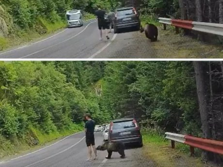 Mrazivé sekundy na ceste